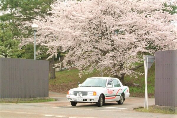 太陽自動車学校のその他画像3