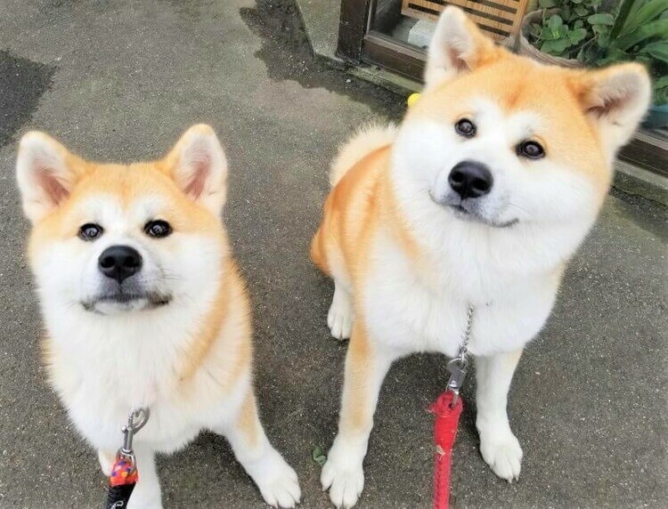 ふるさわ温泉 その他写真1