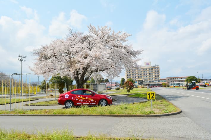那須自動車学校のその他画像8